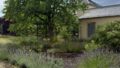 Garten1