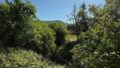 Gartenausblick