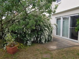 Sonnenterrasse 3