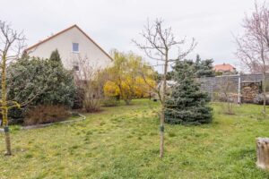 REH mit großem Garten