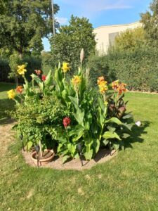 Garten im Sommer