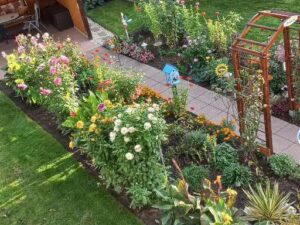 Blumenoase im Sommer