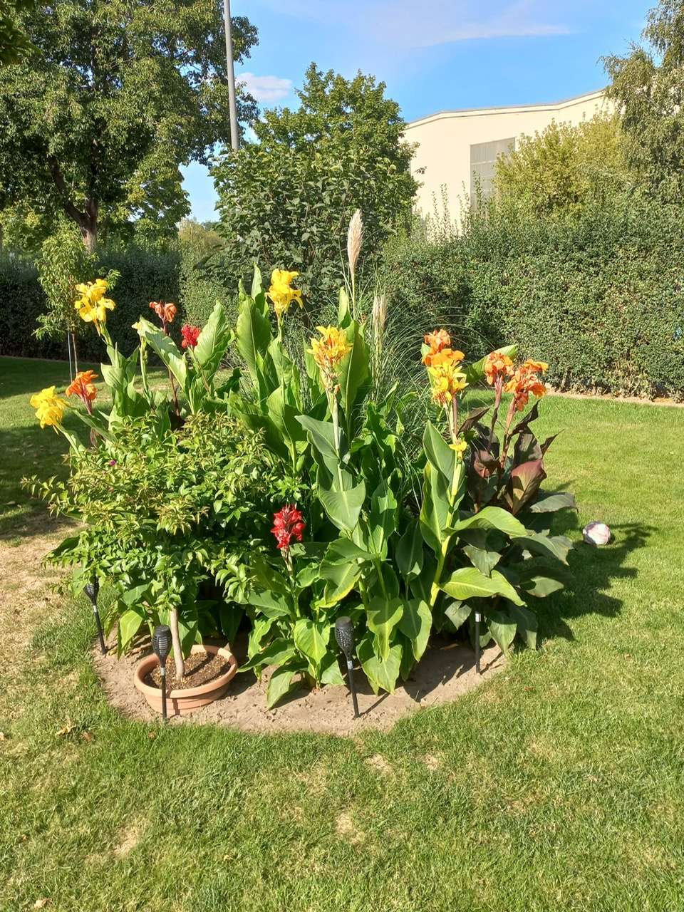 Garten im Sommer