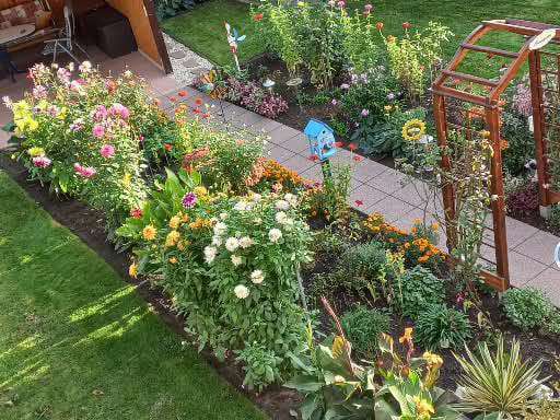 Blumenoase im Sommer