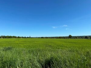 Fensterblick