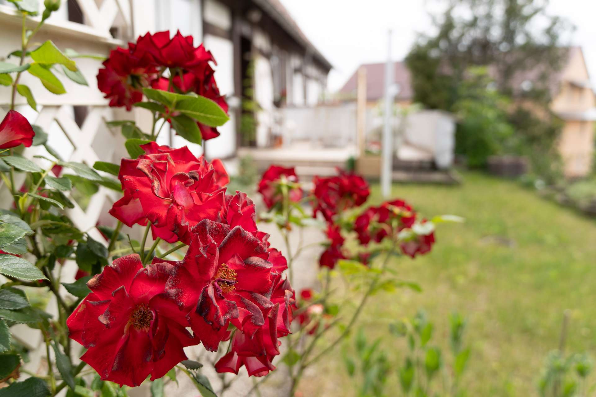Garten