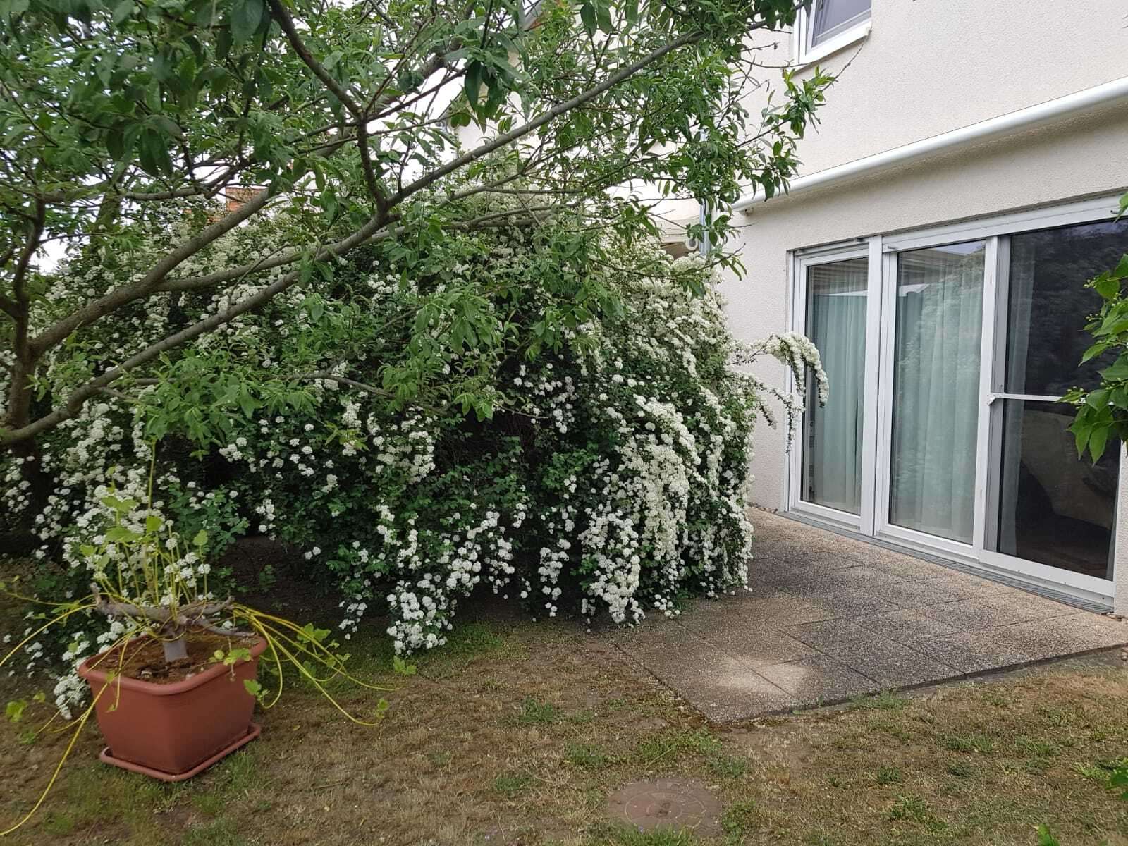 Sonnenterrasse 3