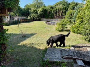 Garten mit viel Platz