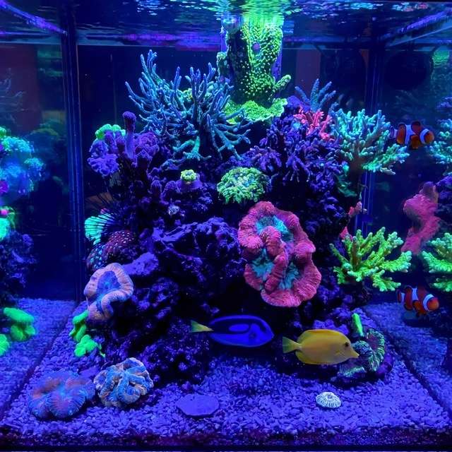 Aquarium