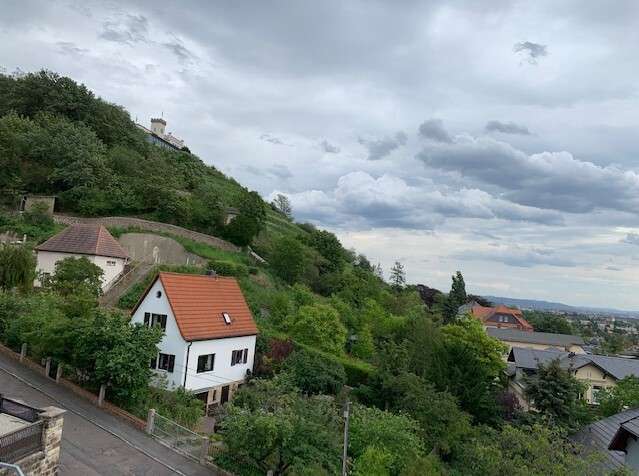Blick2