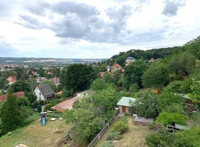 Blick