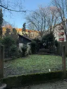 Hinterhof