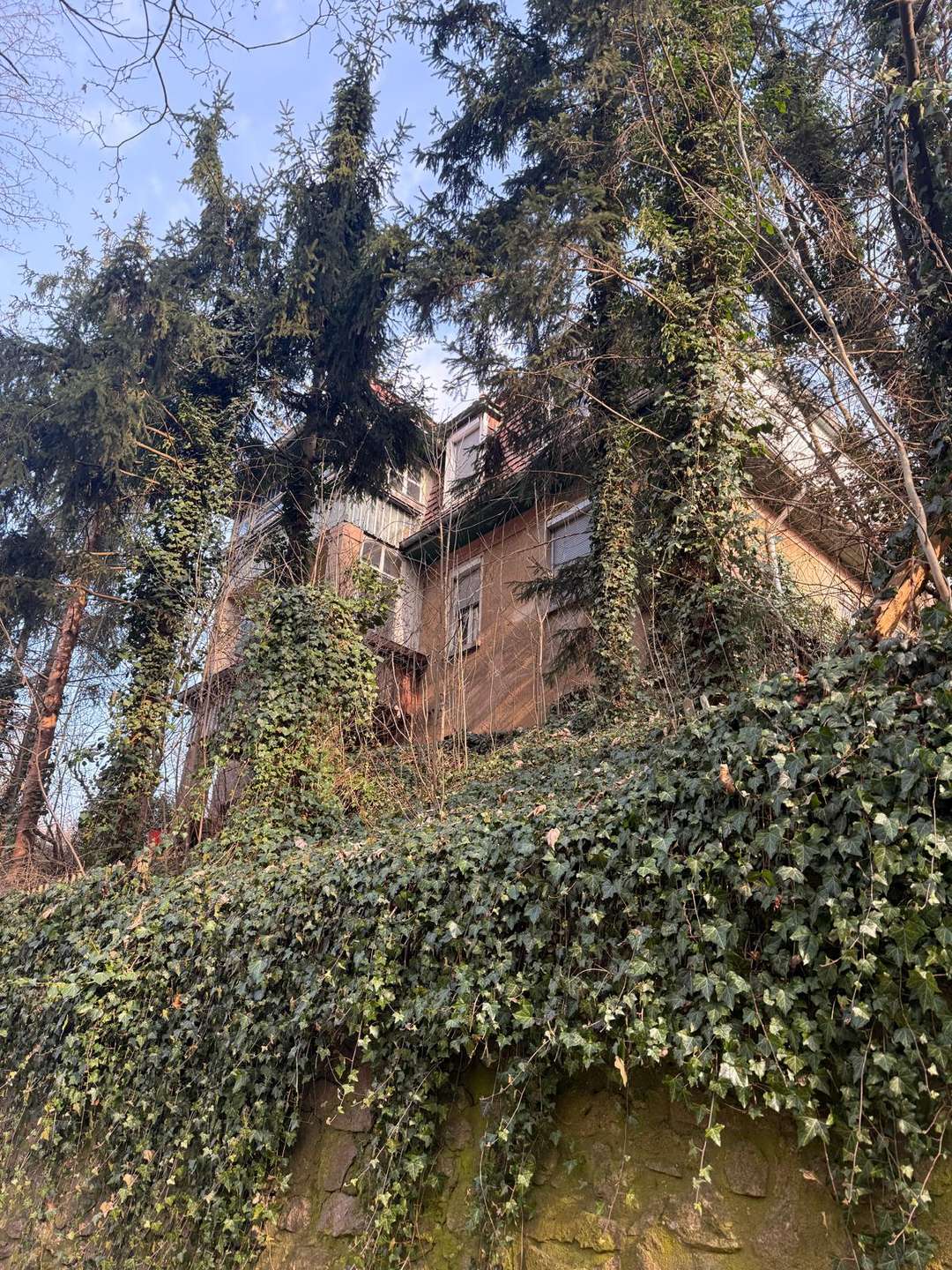 Ansicht