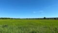 Fensterblick