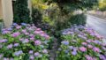 Weg in den Garten