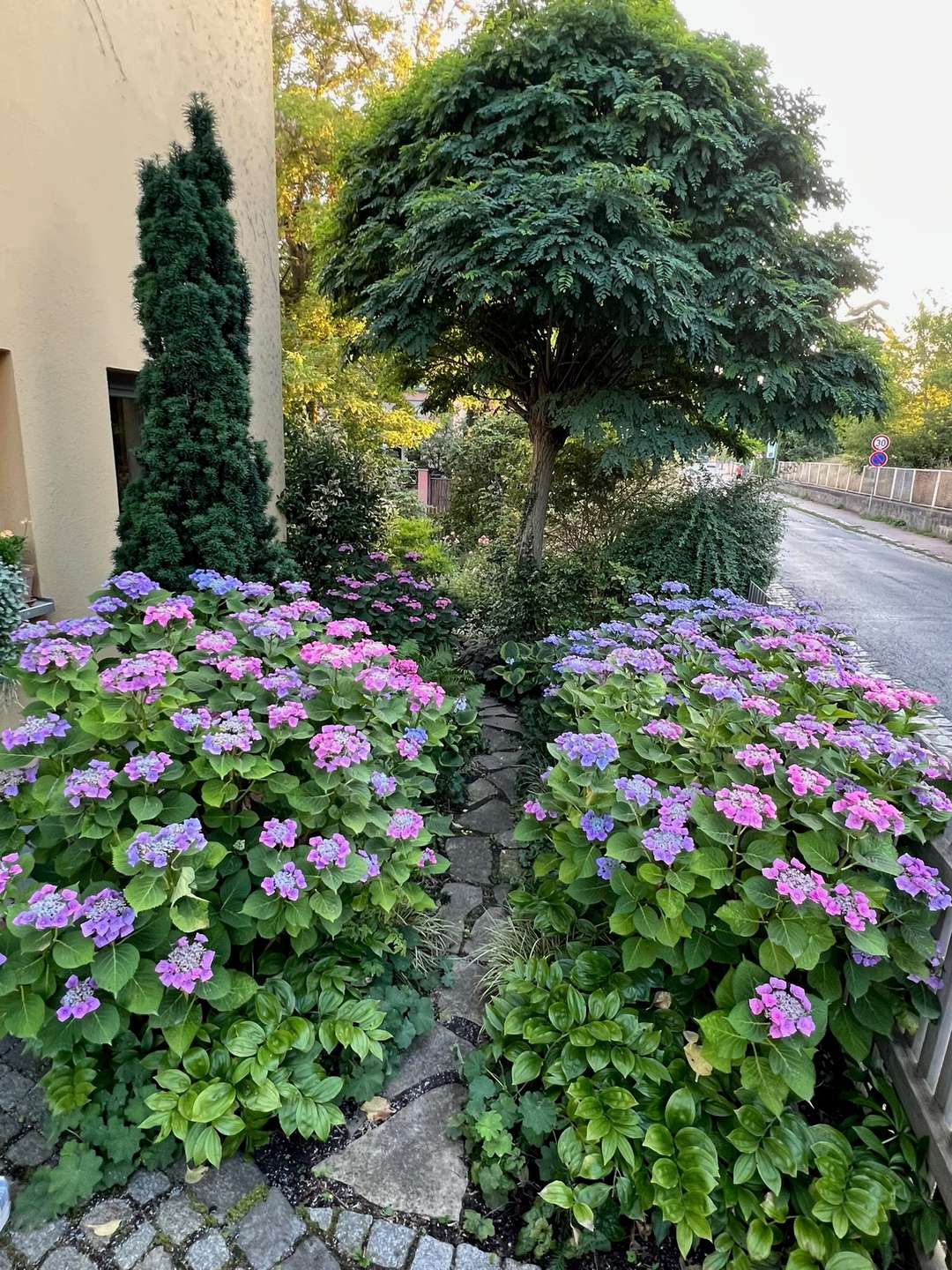 Weg in den Garten